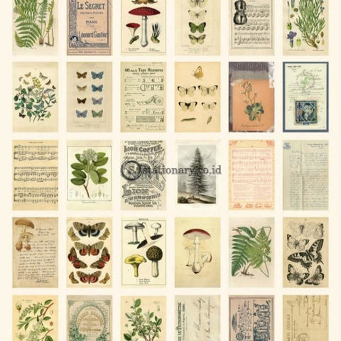 (Preorder) Mr.paper 30Pcs/box Ancient Forest Animals Plants Specimen Postcard Vintage Retro Style