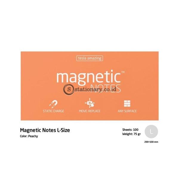 Tesla Amazing Magnetic Notes L (200x100mm) Peachy
