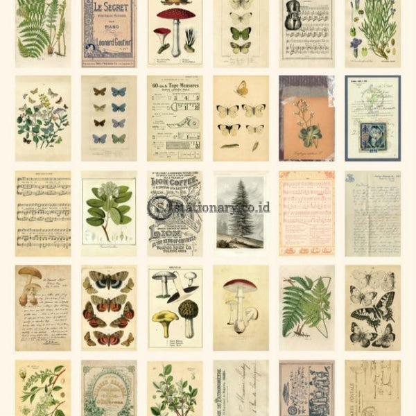 (Preorder) Mr.paper 30Pcs/box Ancient Forest Animals Plants Specimen Postcard Vintage Retro Style