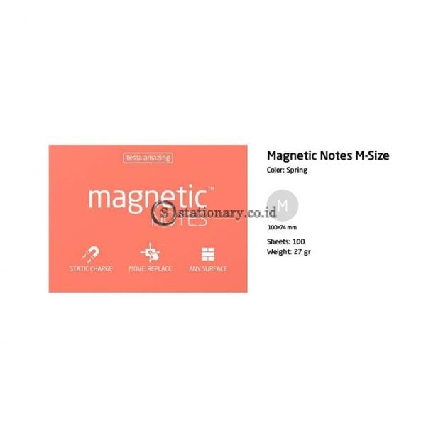 Tesla Amazing Magnetic Notes Medium (100x70mm) Spring